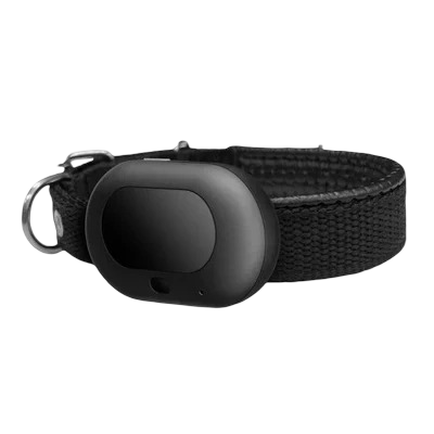 Pet GPS Trackers