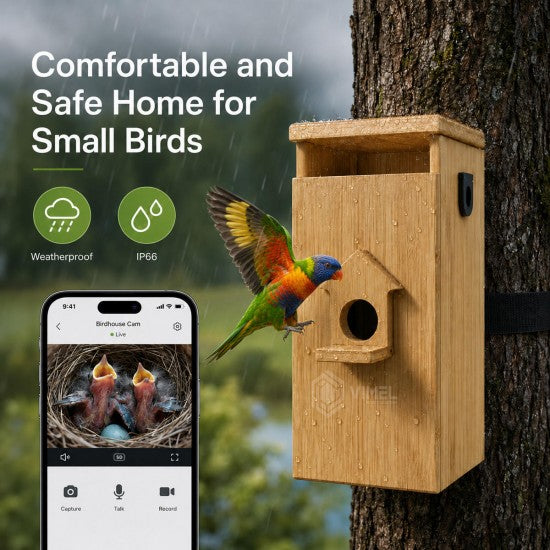 Solar Bird Nest Box Camera – 2K Remote View, WIFI