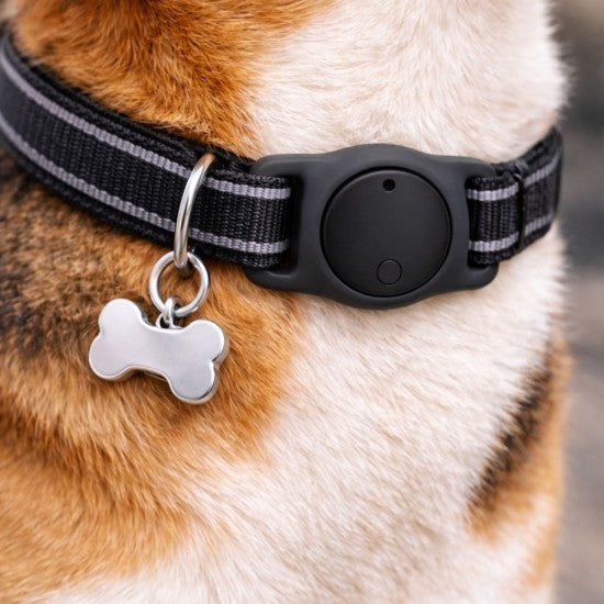 Dog Tracker Tag 2 Pack – Apple & Google Find My