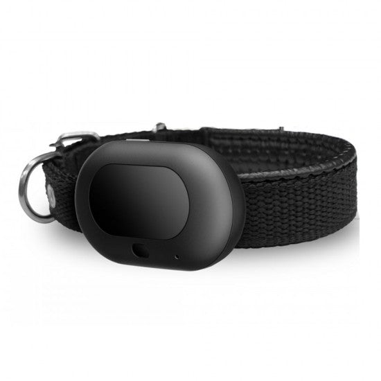 GPS Dog Tracker with LIVE Monitoring & 15 days battery