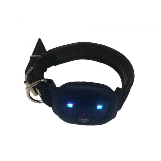 4G Dog GPS tracker Cat Tracking Device New Zealand