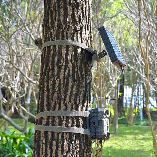 Outdoor 4G Solar Powered Trail Camera Wild Life