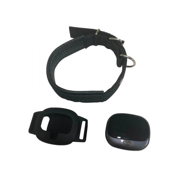 4G Dog GPS tracker Cat Tracking Device New Zealand