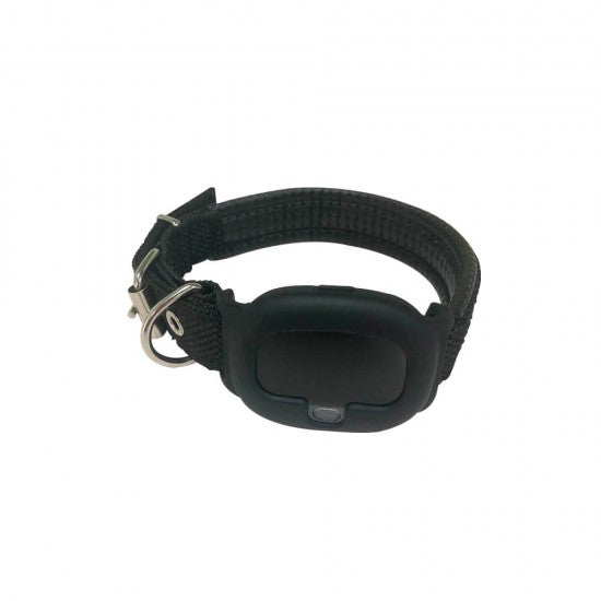 4G Dog GPS tracker Cat Tracking Device New Zealand