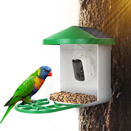 Smart Bird Feeder Camera WIFI